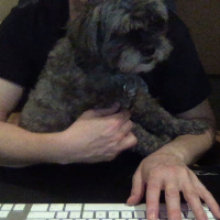 keyboardnerd