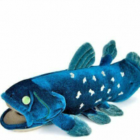 coelacanth