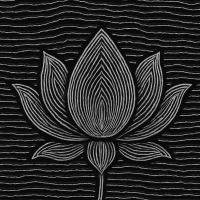 oscillotus